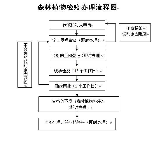 ɭ��ֲ����߰�������ͼ