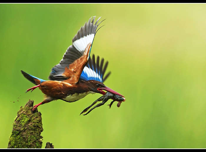 �������