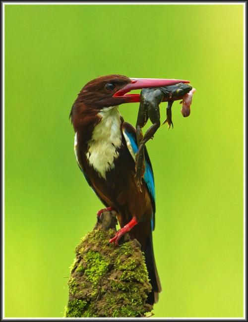 �������1