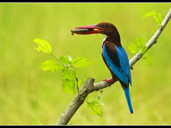 �������2