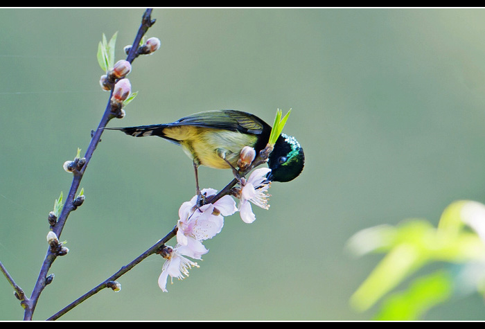 ��β̫����1