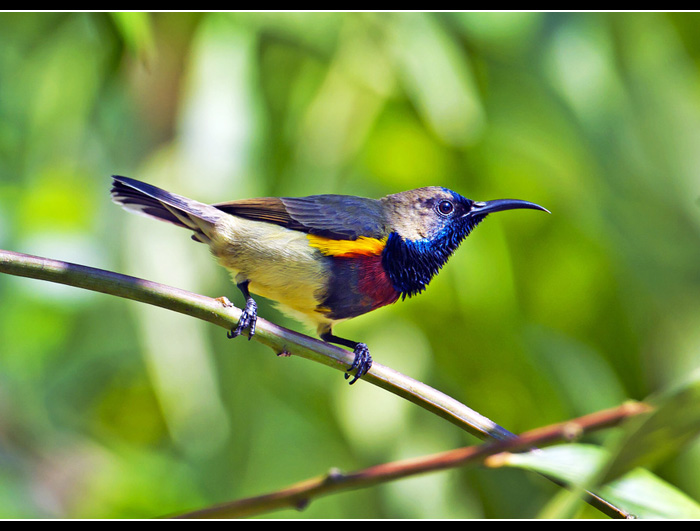 �Ƹ�������2