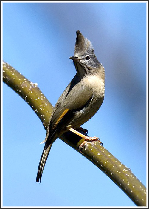 �ƺ�����1