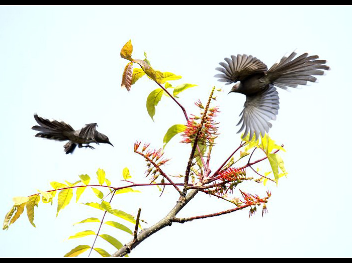 ��β����1