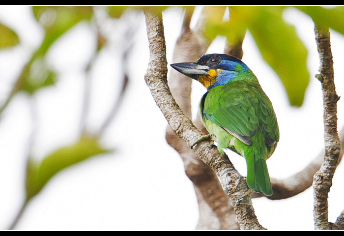 ��ü����ľ��