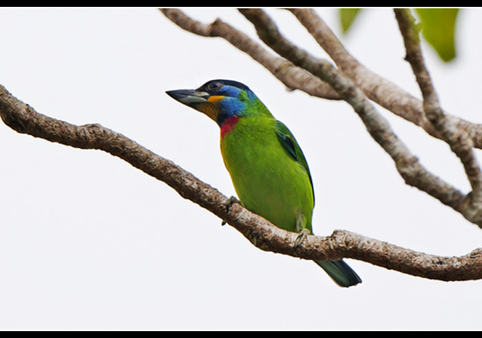 ��ü����ľ��1