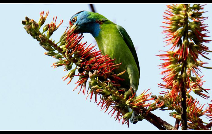 ��������ľ��2