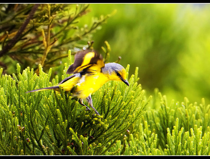 ���ɽ����3