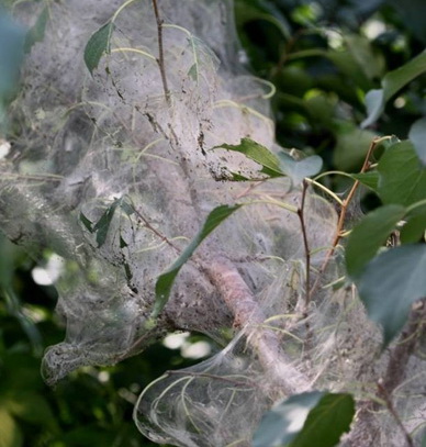 ������Ļ2