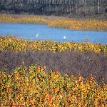 �������